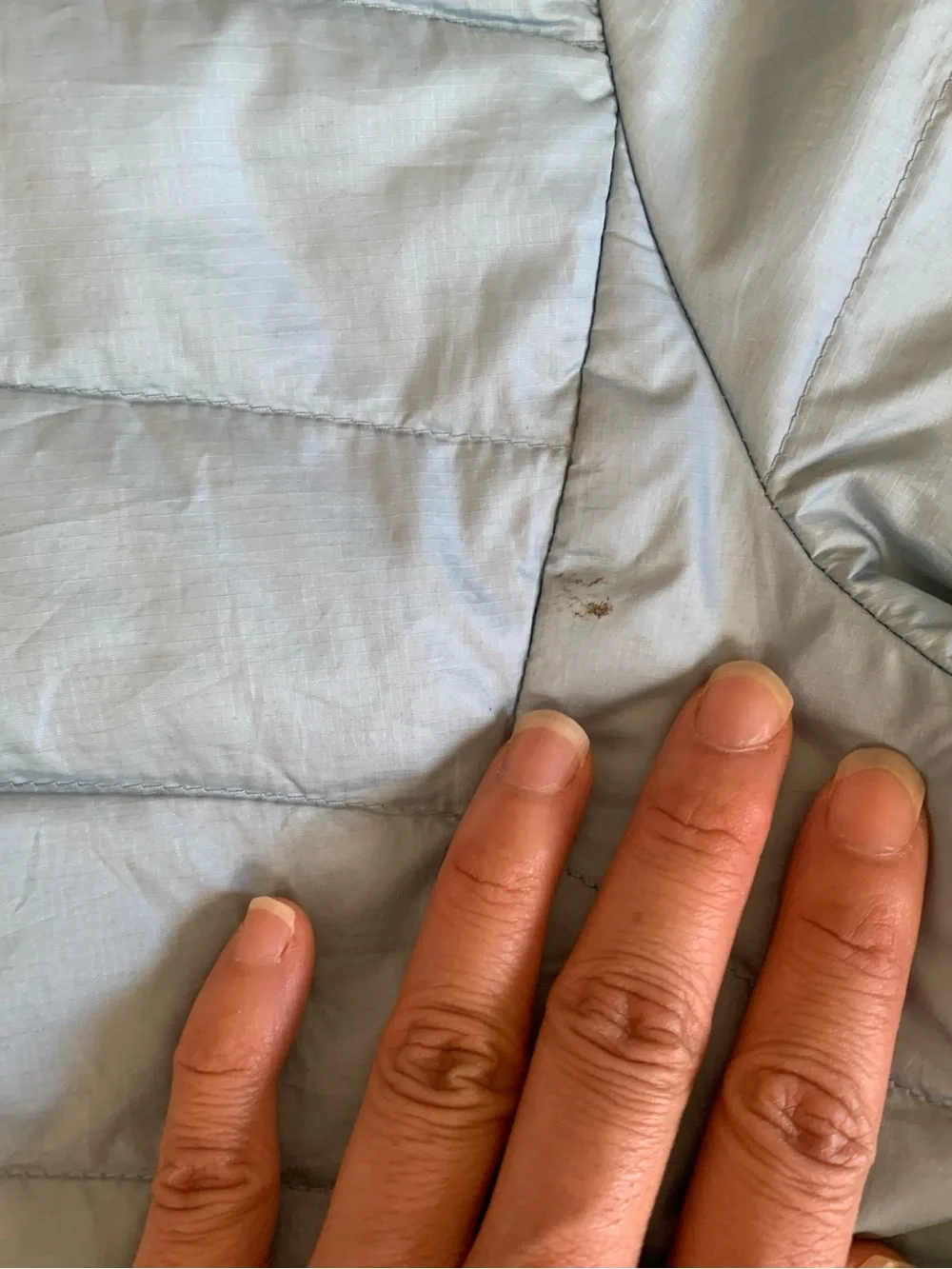 Patagonia lightweight windproof